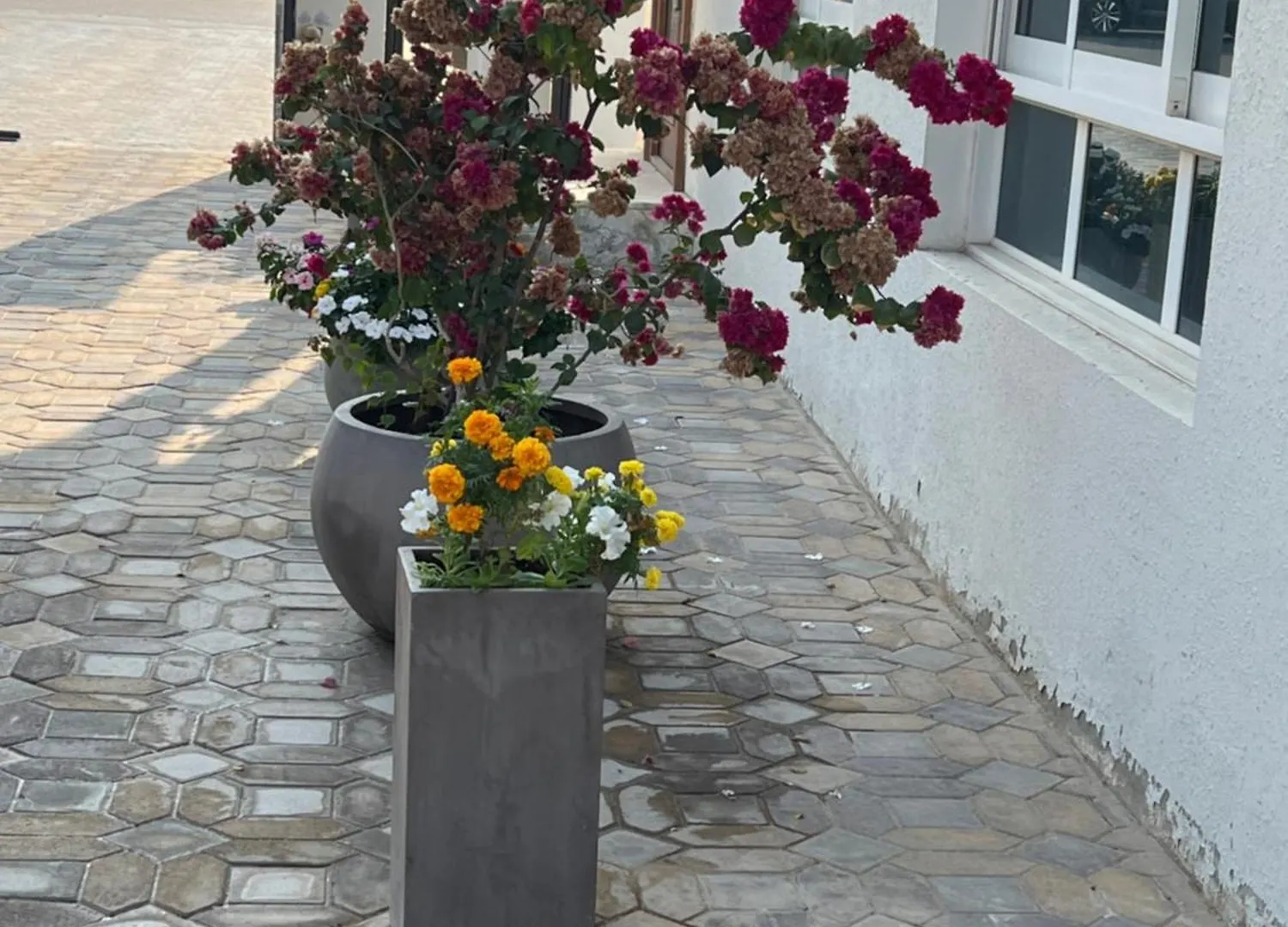 Alhosani Property أبو ظبي