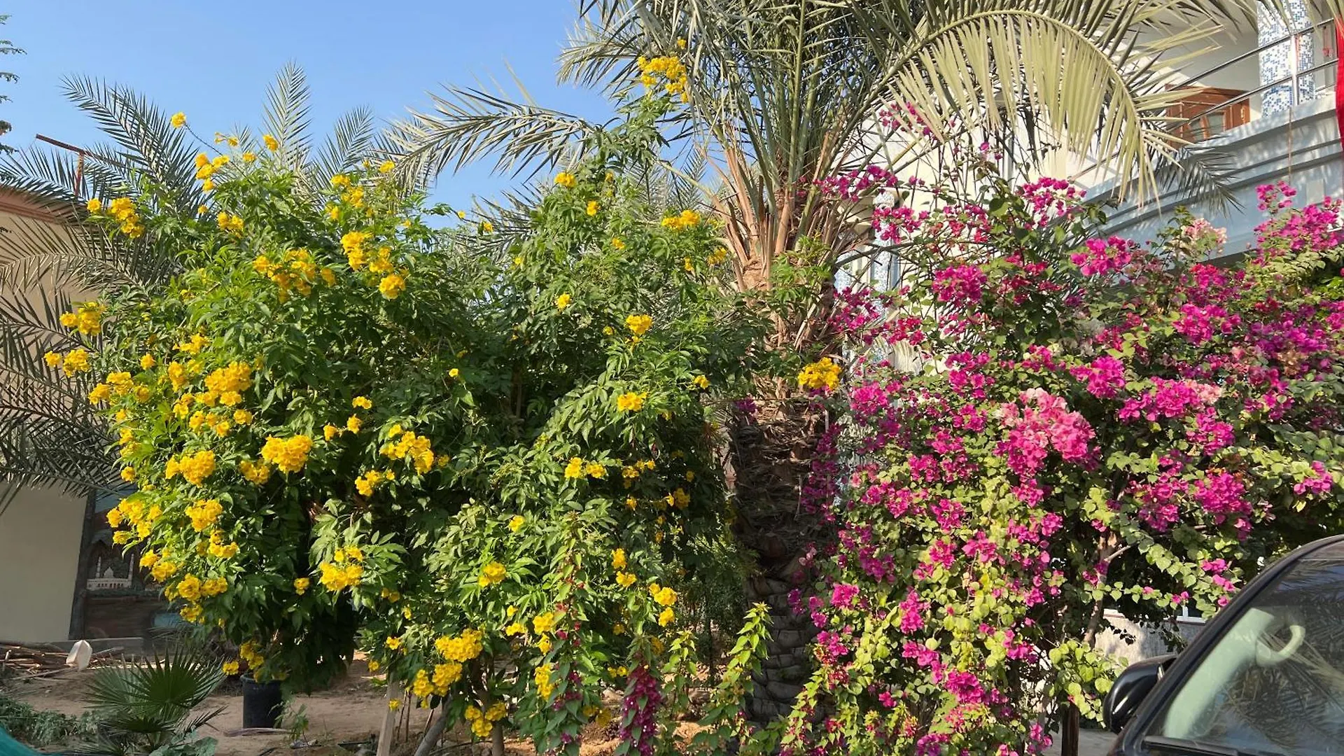 Alhosani Property أبو ظبي